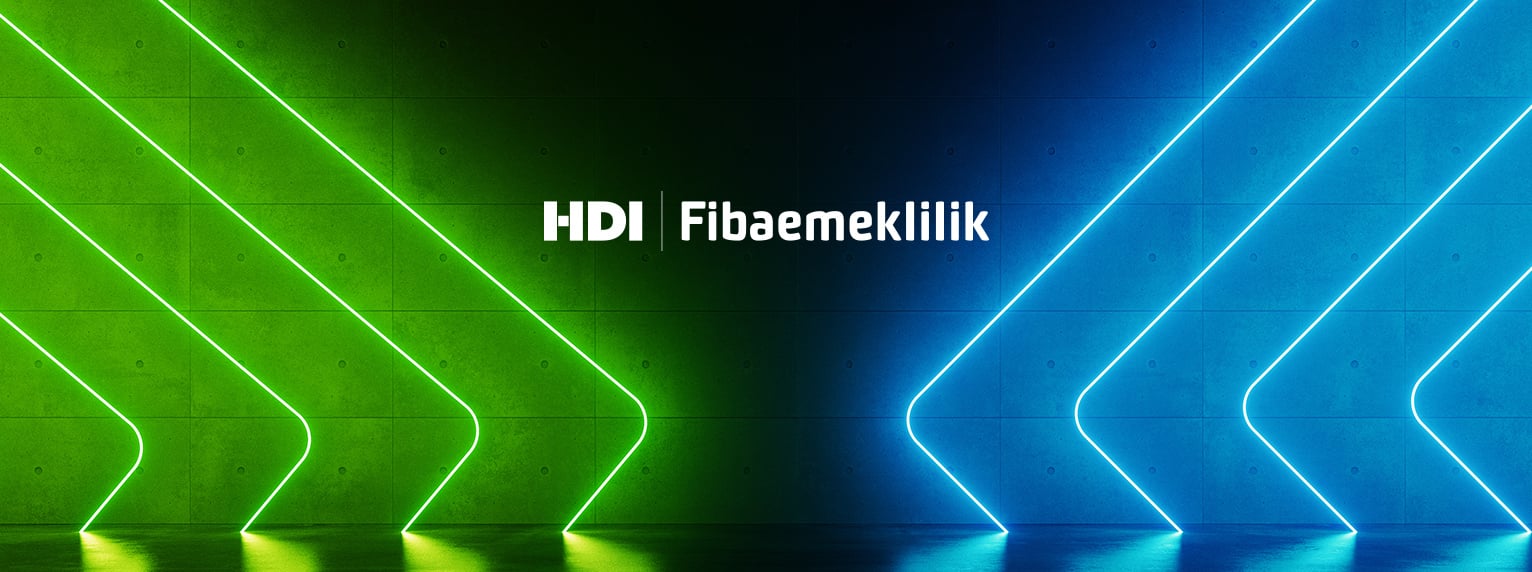 HDI Fiba Emeklilik'in İki Yeni Emeklilik Yatırım Fonuna SPK Onayı